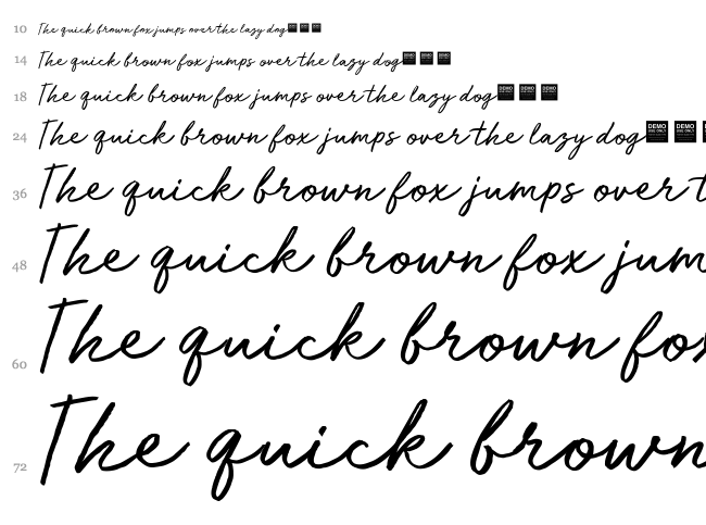 Run Wild font waterfall